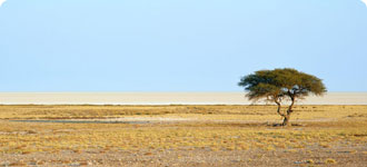 Gambia