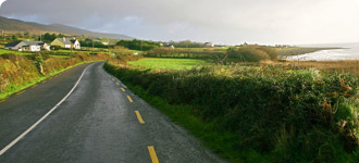 leiebil