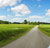 Bilferie<br/> i sommer