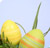Reiser til solen<br/> i p�sken