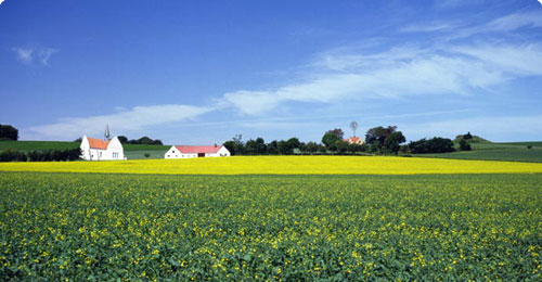 Skagen